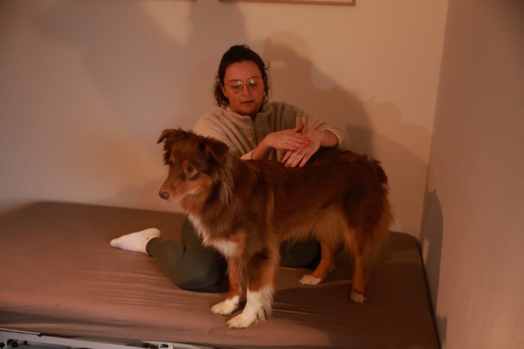 Passive Bewegungstherapie